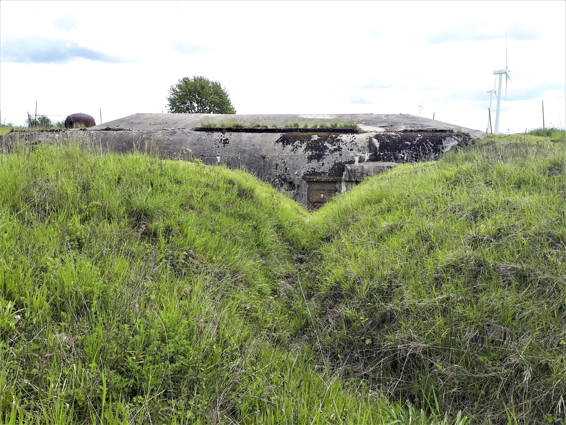 Ligne Maginot - BAMBIDERSTROFF SUD - C71 - (Casemate d'infanterie) - Tranchée d'accès à la casemate - Gregory Fuchs