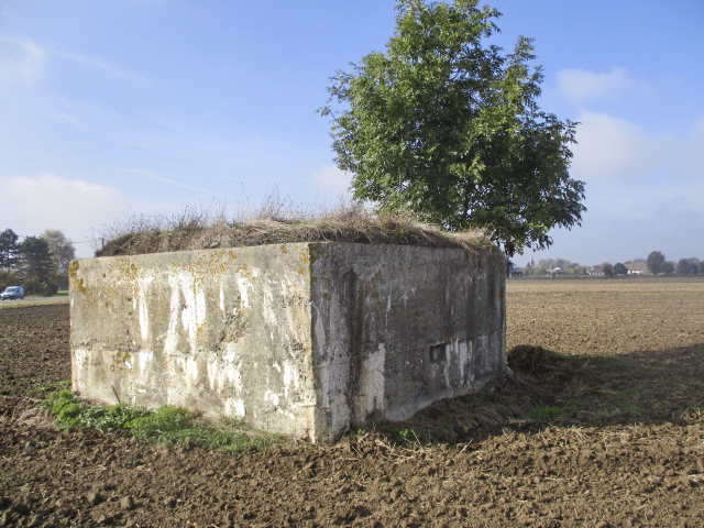 Ligne Maginot - BEF 571A - CRINQUET EST 1 - (Blockhaus pour arme infanterie) -  - Smardz Félix
