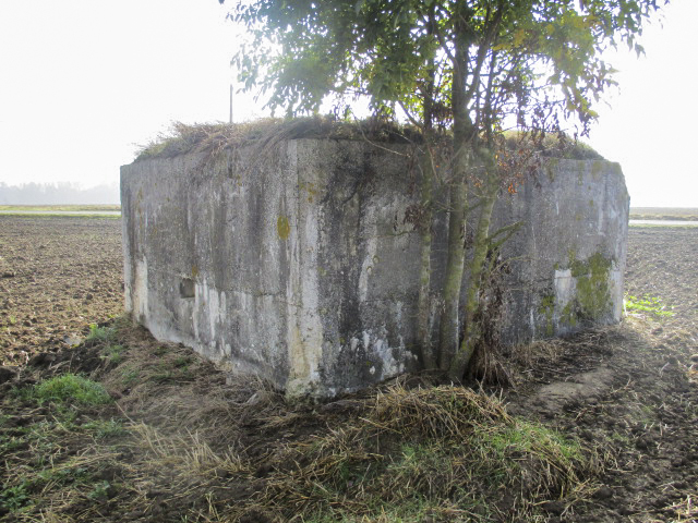 Ligne Maginot - BEF 571A - CRINQUET EST 1 - (Blockhaus pour arme infanterie) -  - Smardz Félix