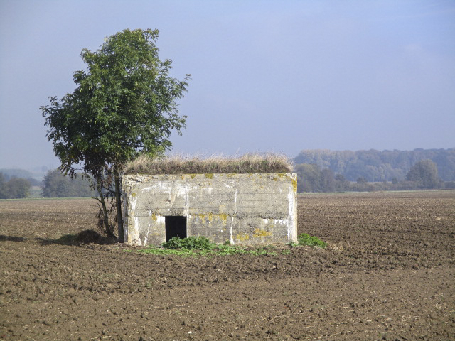 Ligne Maginot - BEF 571A - CRINQUET EST 1 - (Blockhaus pour arme infanterie) - Situé dans son environnement. - Smardz Félix