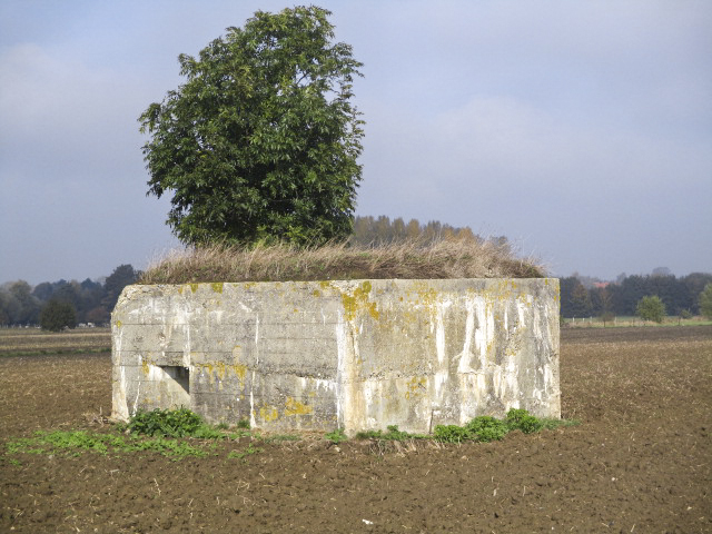 Ligne Maginot - BEF 571A - CRINQUET EST 1 - (Blockhaus pour arme infanterie) -  - Smardz Félix