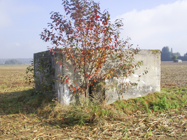 Ligne Maginot - BEF 568B - CRINQUET OUEST 2 - (Blockhaus pour arme infanterie) - Situé dans un champ cultivé, à gauche de la D 995 se dirigeant vers Planard. - Smardz Félix