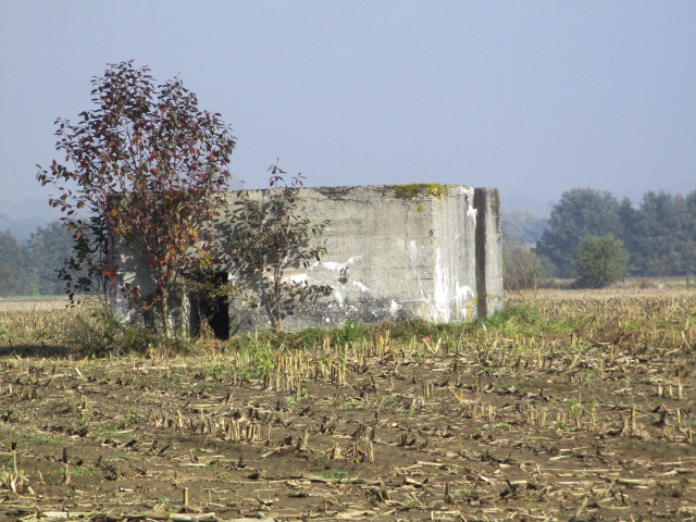 Ligne Maginot - BEF 568B - CRINQUET OUEST 2 - (Blockhaus pour arme infanterie) - Situé dans un champ cultivé, à gauche de la D 995 se dirigeant vers Planard. - Smardz Félix