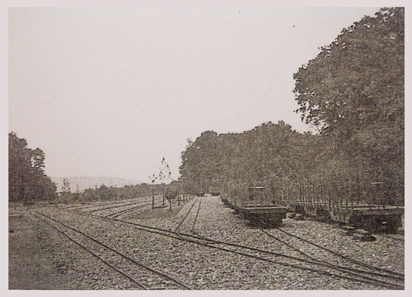Ligne Maginot - SAINT HUBERT - DéPôT ARRIèRE - (Dépôt de Munitions) -  - Inconnu
