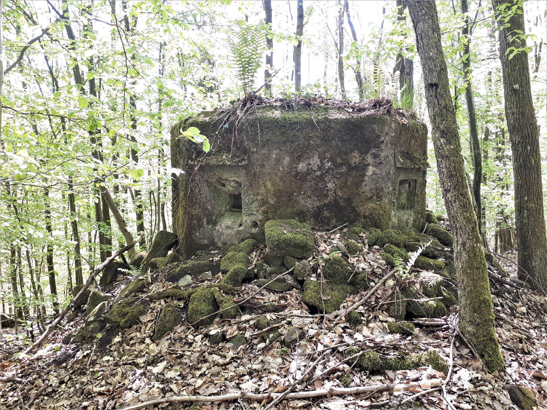 Ligne Maginot - FM49 - WEIBERSLOCH - (Blockhaus pour arme infanterie) - Les deux créneaux frontaux - Gregory Fuchs