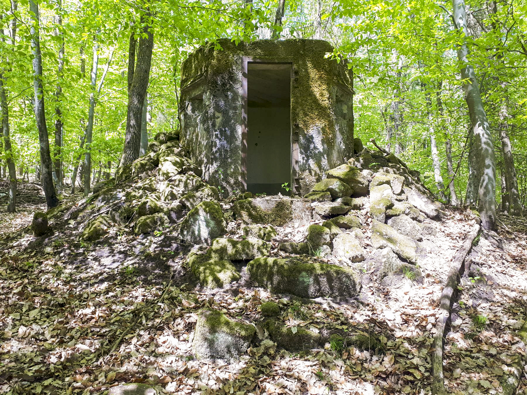 Ligne Maginot - FM49 - WEIBERSLOCH - (Blockhaus pour arme infanterie) - L'entrée - Gregory Fuchs