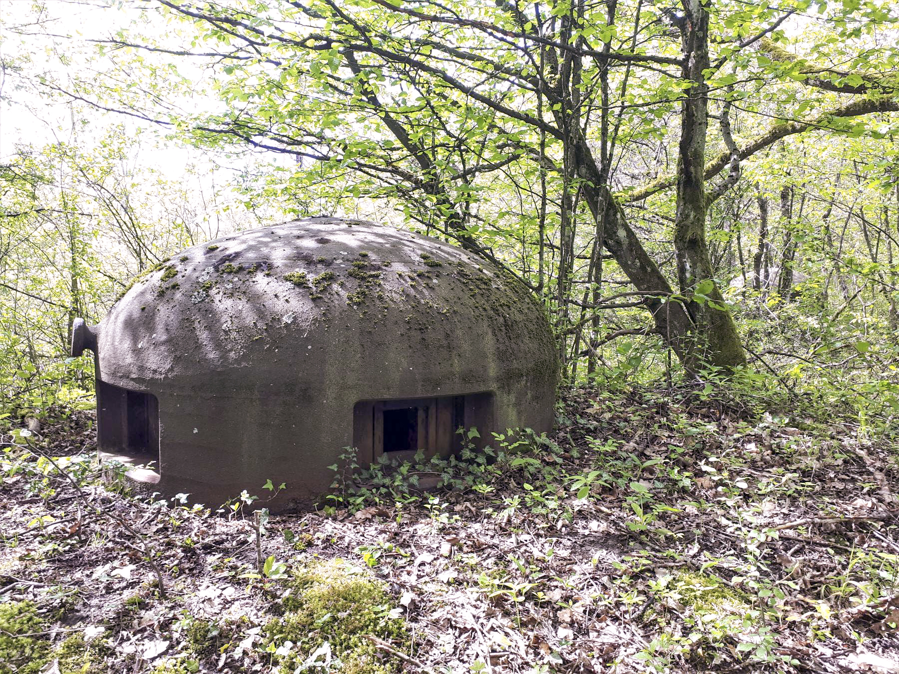 Ligne Maginot - KERFENT - A34 - (Ouvrage d'infanterie) - Bloc 2
Cloche GFM - Gregory Fuchs