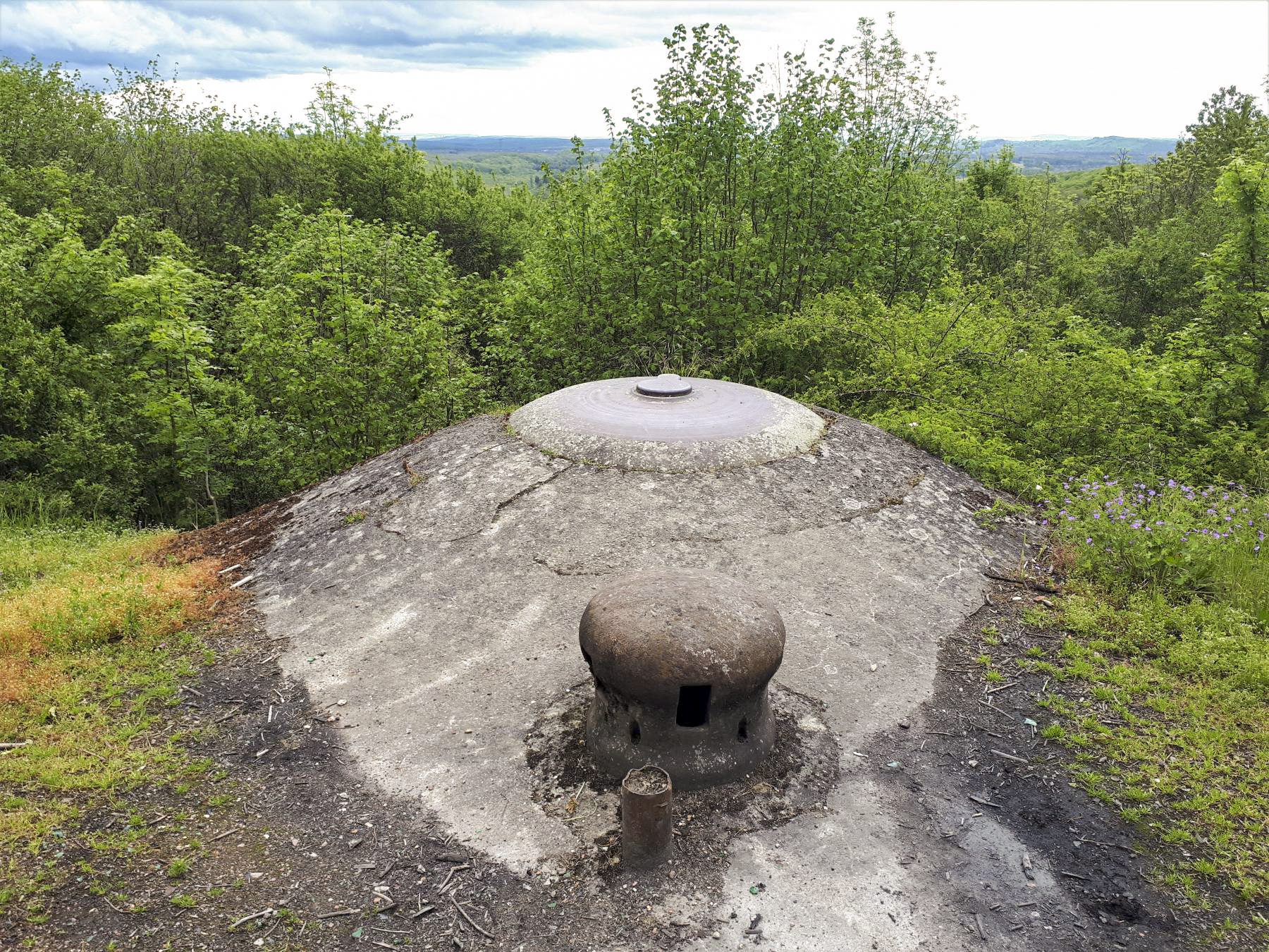 Ligne Maginot - KERFENT - A34 - (Ouvrage d'infanterie) - Bloc 4
La nature a bien poussée devant la cloche VP - Gregory Fuchs