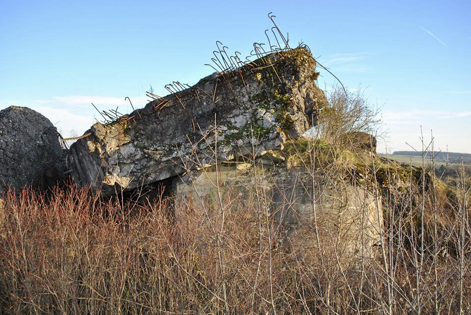 Ligne Maginot - EINSELING SUD - C73 - (Casemate d'infanterie) - Les ruines de la casemate - EMANUELLI Hervé