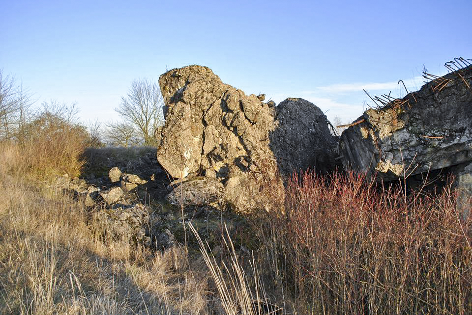 Ligne Maginot - EINSELING SUD - C73 - (Casemate d'infanterie) - Les ruines de la casemate - EMANUELLI Hervé