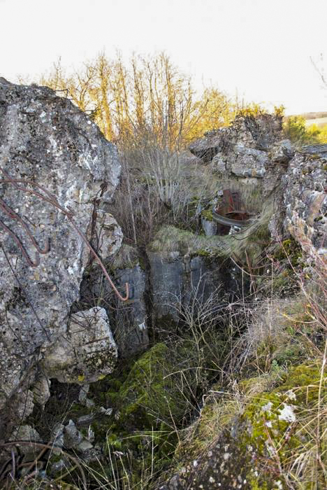 Ligne Maginot - EINSELING SUD - C73 - (Casemate d'infanterie) - Les ruines de la casemate - EMANUELLI Hervé