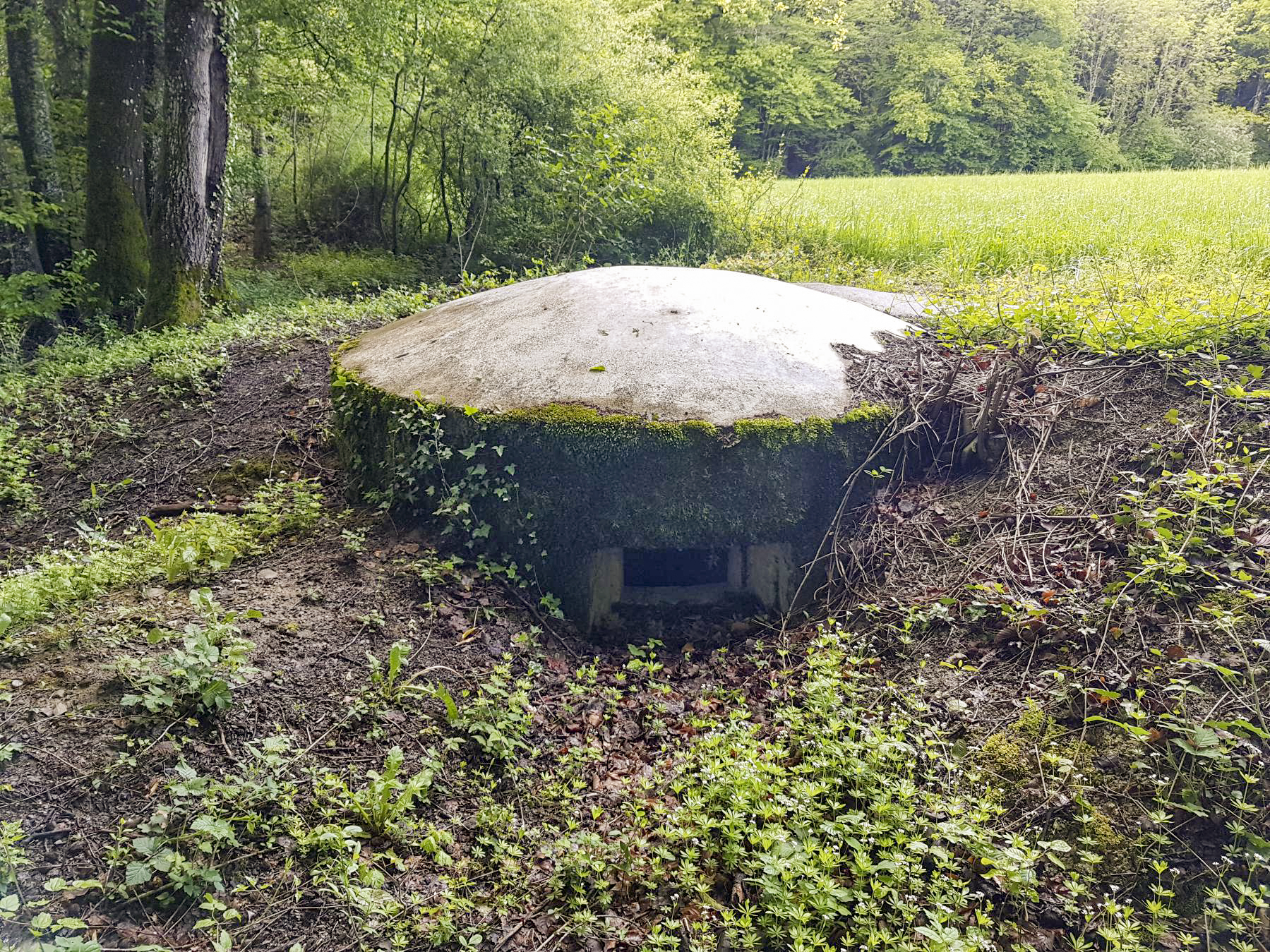 Ligne Maginot - F51BIS - PONT DE L'ALOUETTE CENTRE - HS105 - (Blockhaus pour arme infanterie) - L'ouvrage est en excellent état grâce à la mairie de Charvonnex qui a débroussaillé efficacement rendant l'ensemble accessible. - Dirknet
