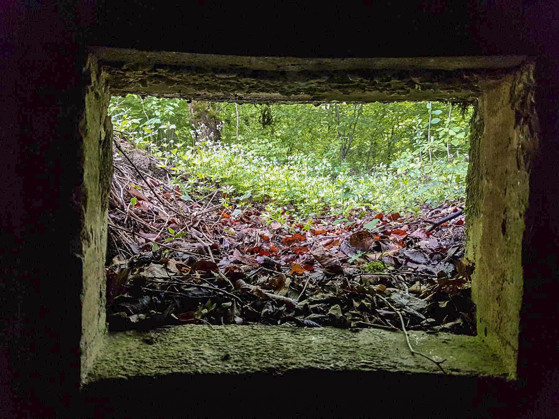 Ligne Maginot - F51BIS - PONT DE L'ALOUETTE CENTRE - HS105 - (Blockhaus pour arme infanterie) - Vue depuis le créneau - Dirknet