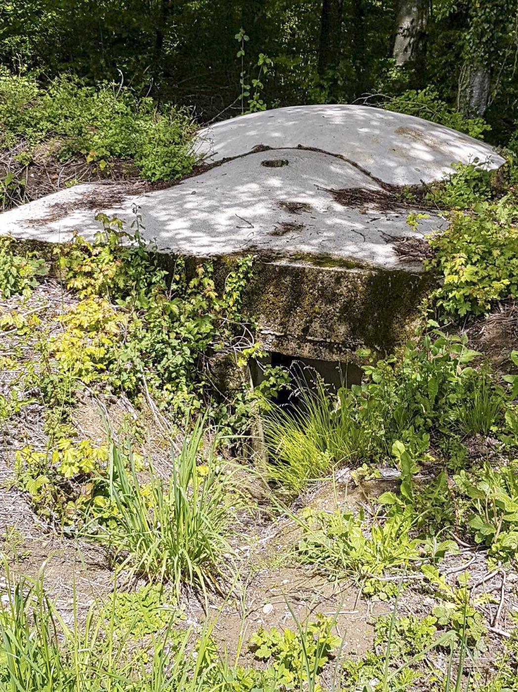 Ligne Maginot - F51BIS - PONT DE L'ALOUETTE CENTRE - HS105 - (Blockhaus pour arme infanterie) - L'entrée - Dirknet