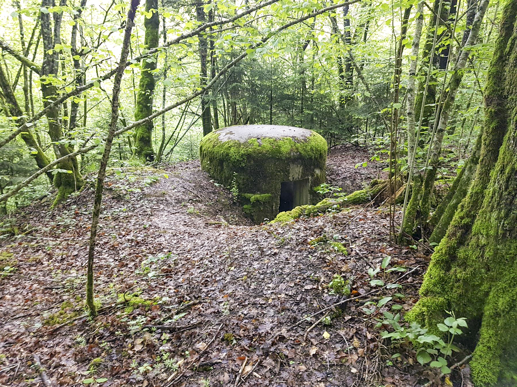 Ligne Maginot - F53 - LES TAVERNETTES 1 - HS107 - (Blockhaus pour arme infanterie) - L'ouvrage est en excellent état grâce à la mairie de Charvonnex qui a débroussaillé efficacement rendant l'ensemble accessible. - Dirknet