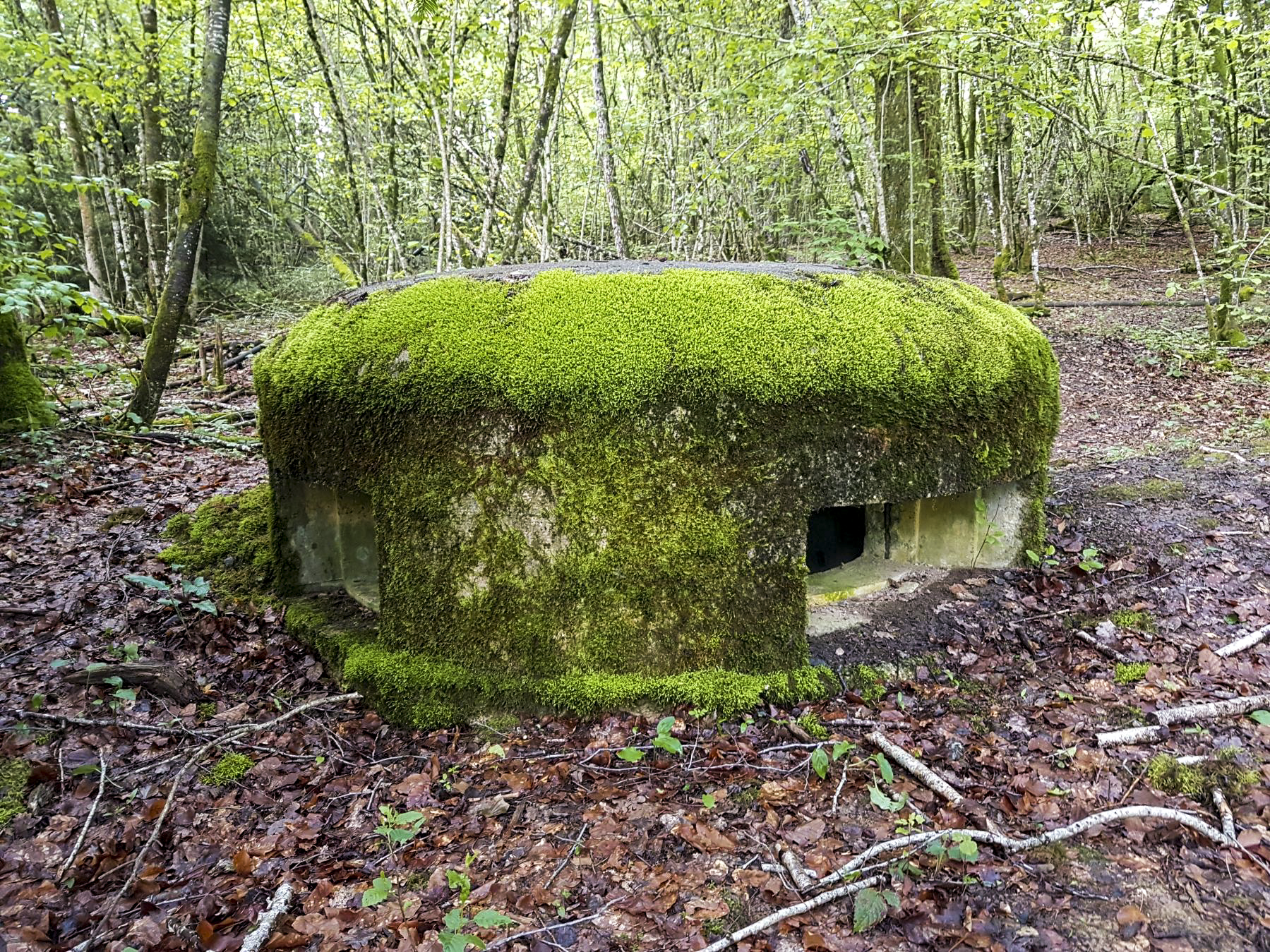 Ligne Maginot - F53 - LES TAVERNETTES 1 - HS107 - (Blockhaus pour arme infanterie) - Les créneaux - Dirknet