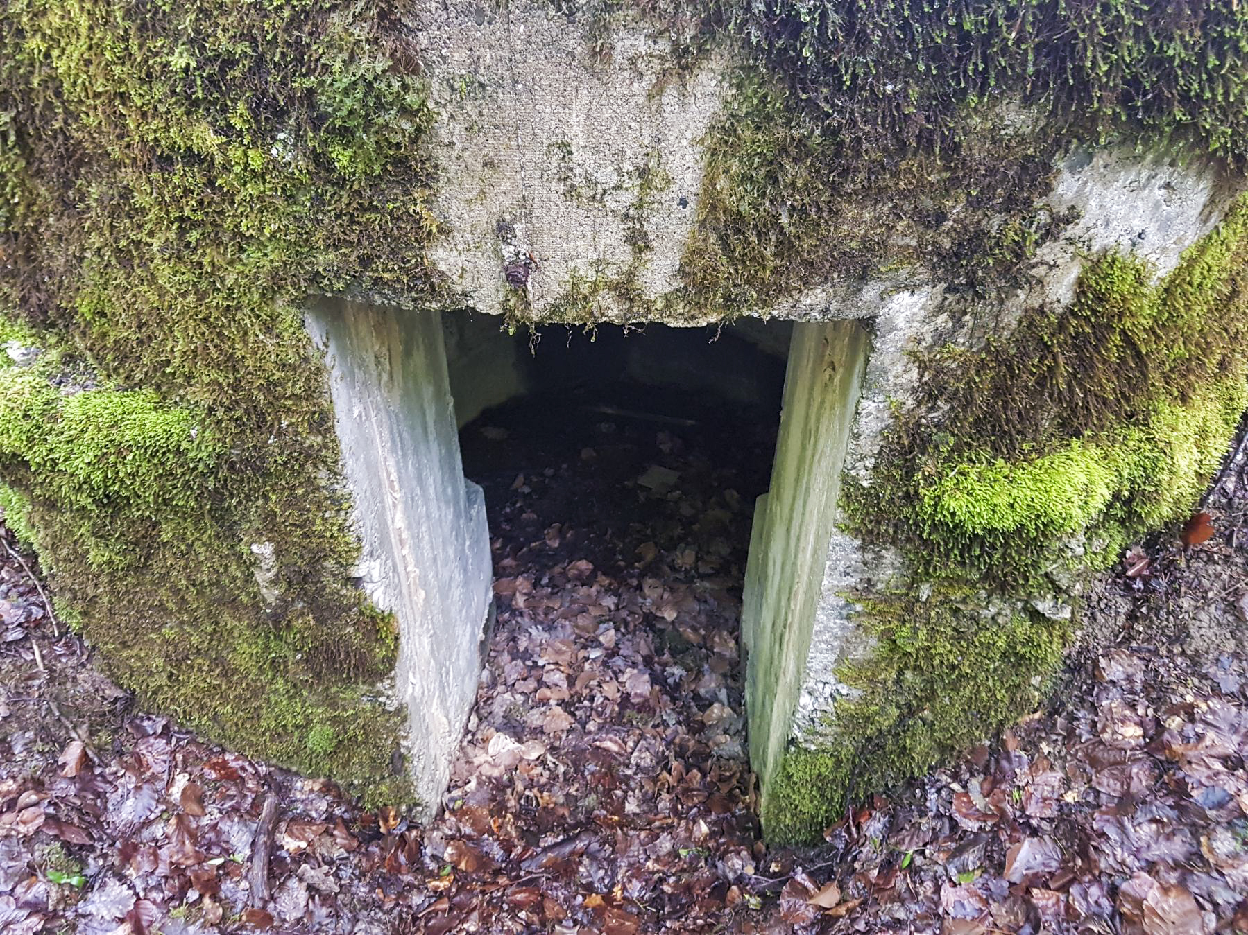 Ligne Maginot - F53 - LES TAVERNETTES 1 - HS107 - (Blockhaus pour arme infanterie) - L'entrée - Dirknet