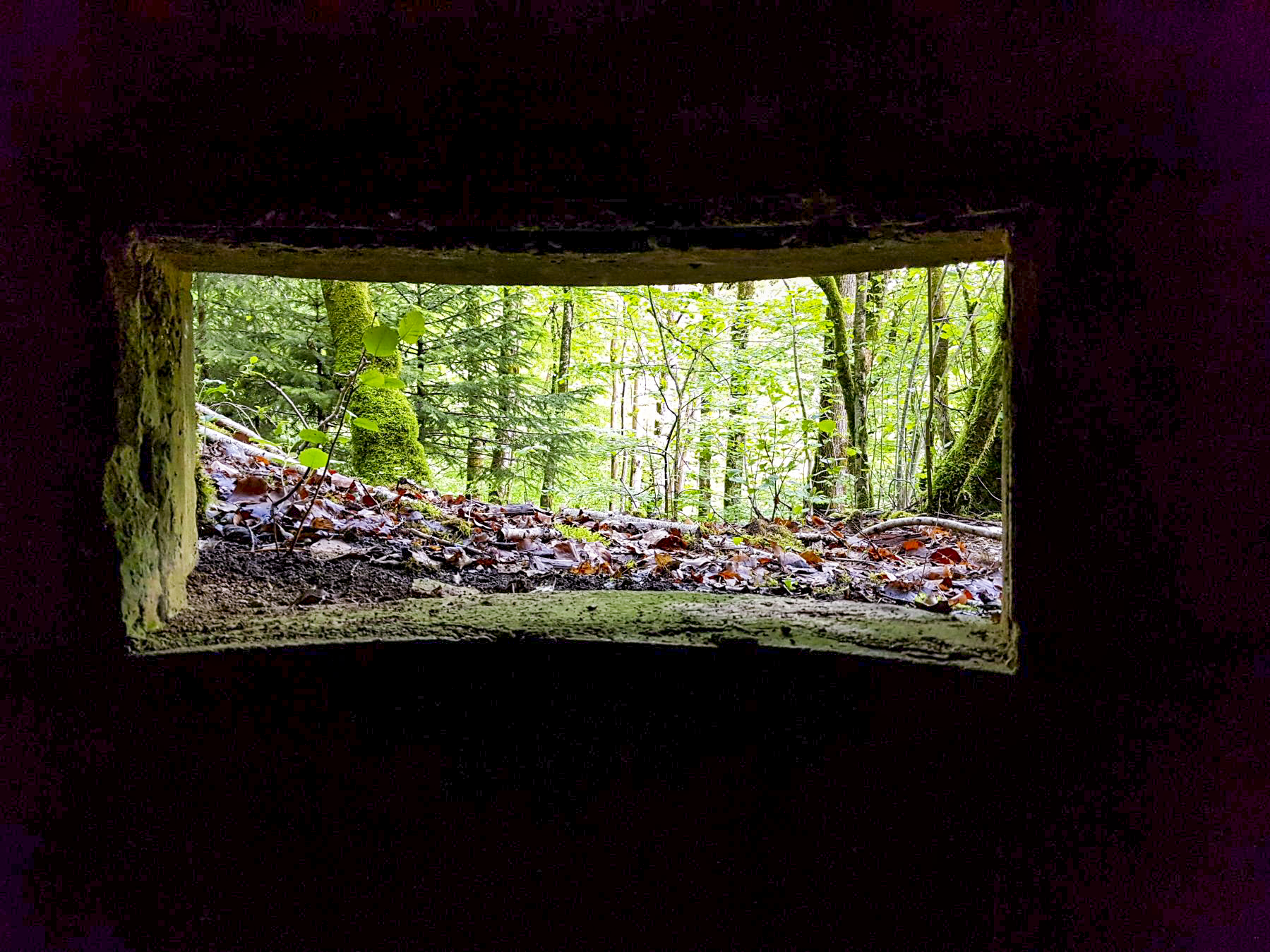 Ligne Maginot - F53 - LES TAVERNETTES 1 - HS107 - (Blockhaus pour arme infanterie) - Vue depuis une des créneaux - Dirknet