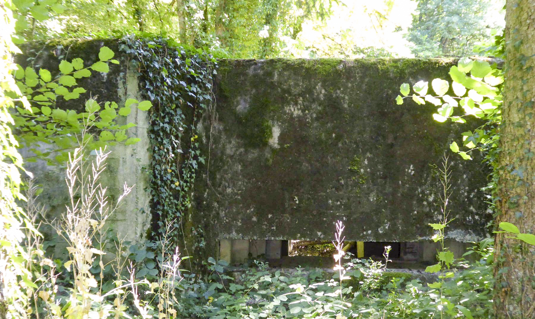 Ligne Maginot - F52 - PONT DE L'ALOUETTE EST - HS106 - (Blockhaus pour canon) -  - François VILLARS