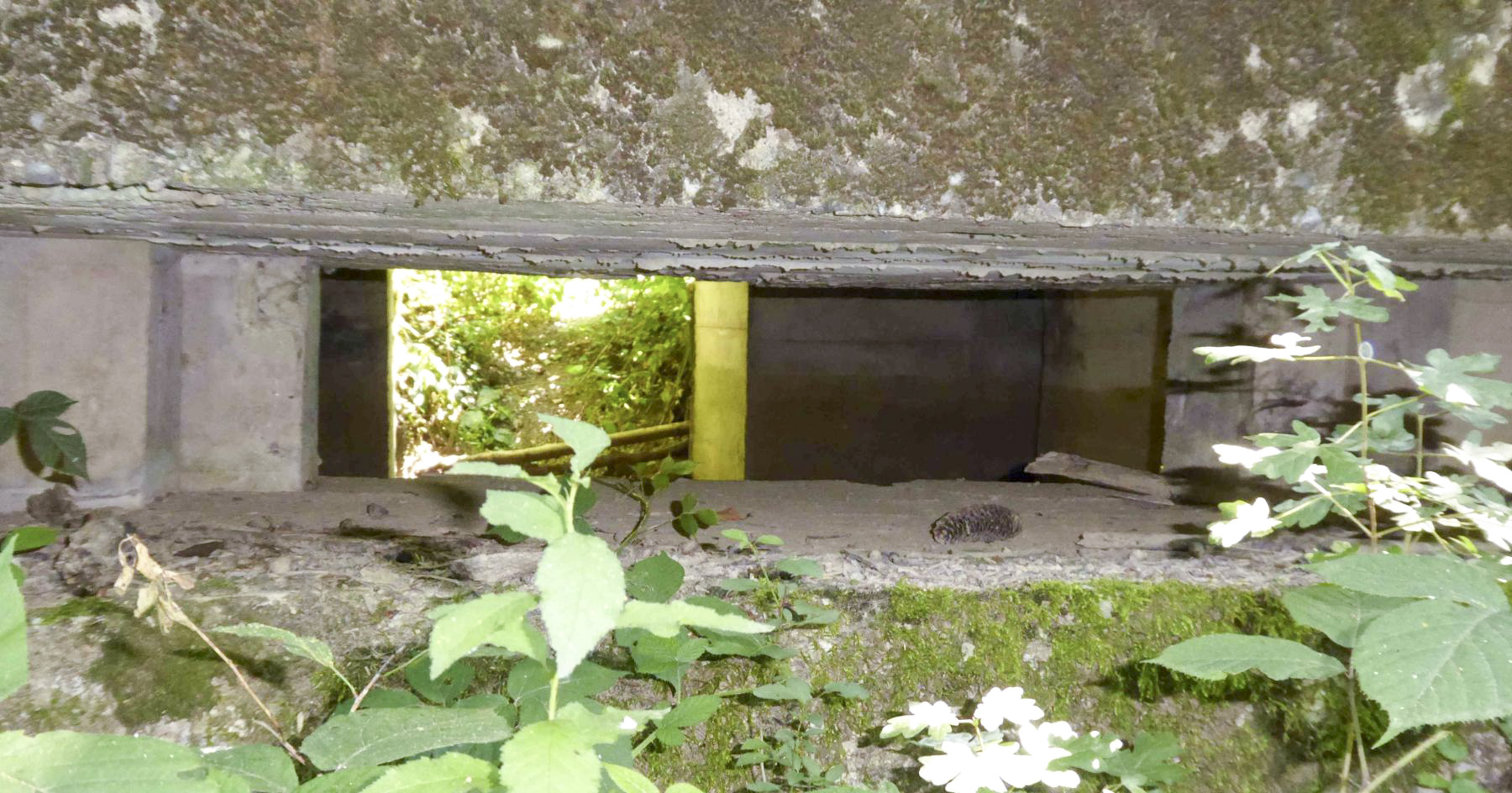 Ligne Maginot - F52 - PONT DE L'ALOUETTE EST - HS106 - (Blockhaus pour canon) -  - François VILLARS