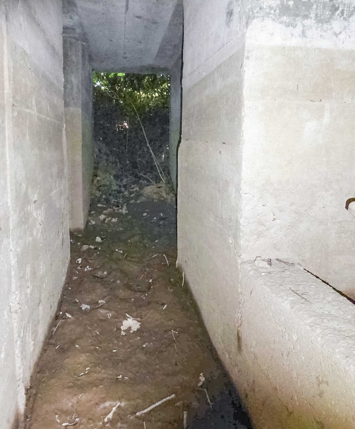 Ligne Maginot - F52 - PONT DE L'ALOUETTE EST - HS106 - (Blockhaus pour canon) -  - François VILLARS