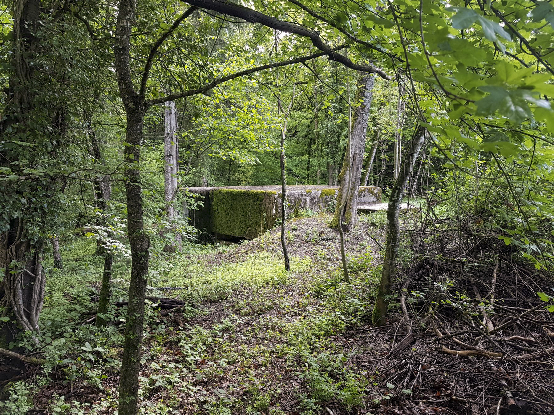 Ligne Maginot - F52 - PONT DE L'ALOUETTE EST - HS106 - (Blockhaus pour canon) - L'ouvrage est en excellent état grâce à la mairie de Charvonnex qui a débroussaillé efficacement rendant l'ensemble accessible. - Dirknet