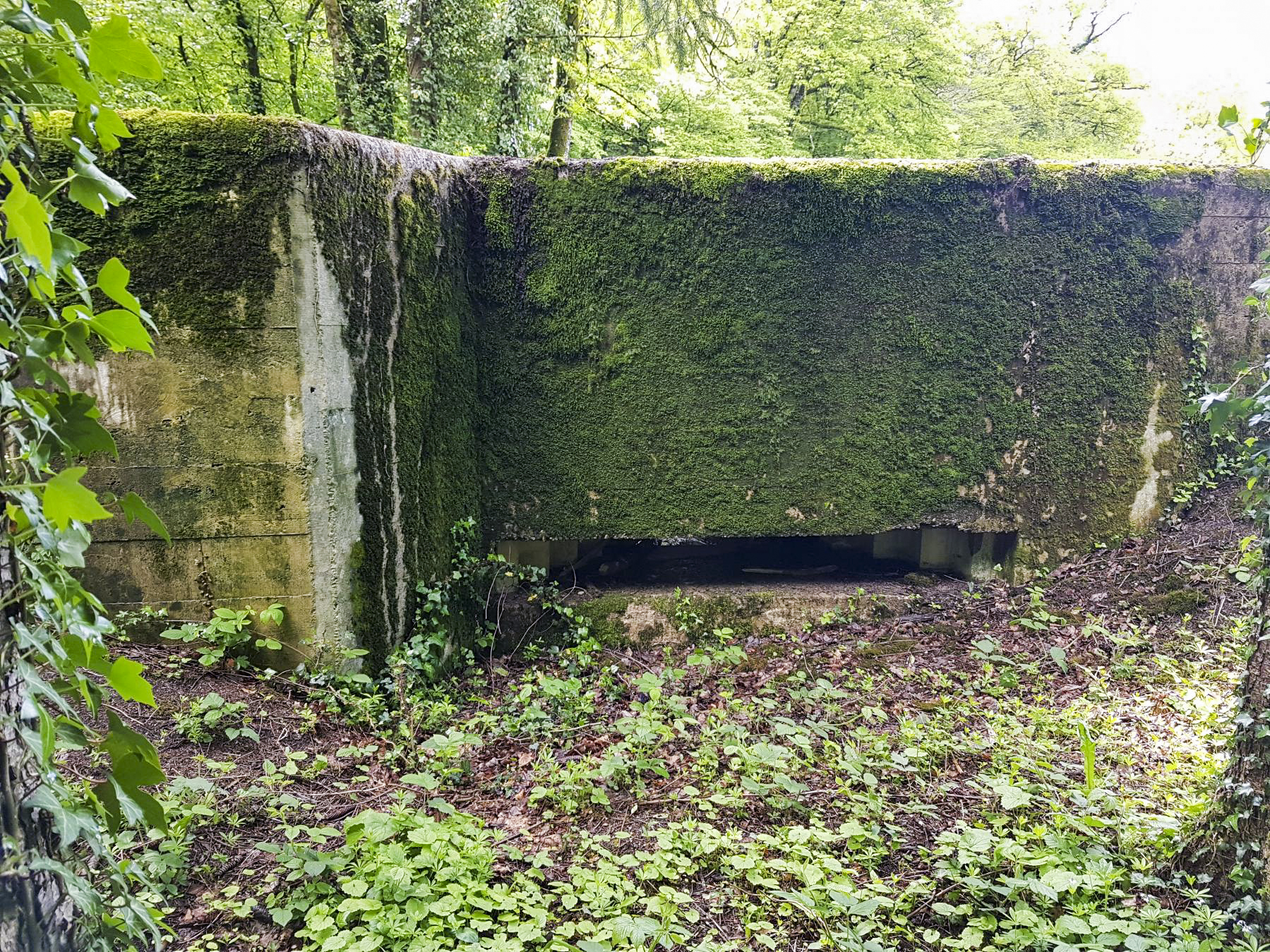 Ligne Maginot - F52 - PONT DE L'ALOUETTE EST - HS106 - (Blockhaus pour canon) - Le créneau pour canon - Dirknet