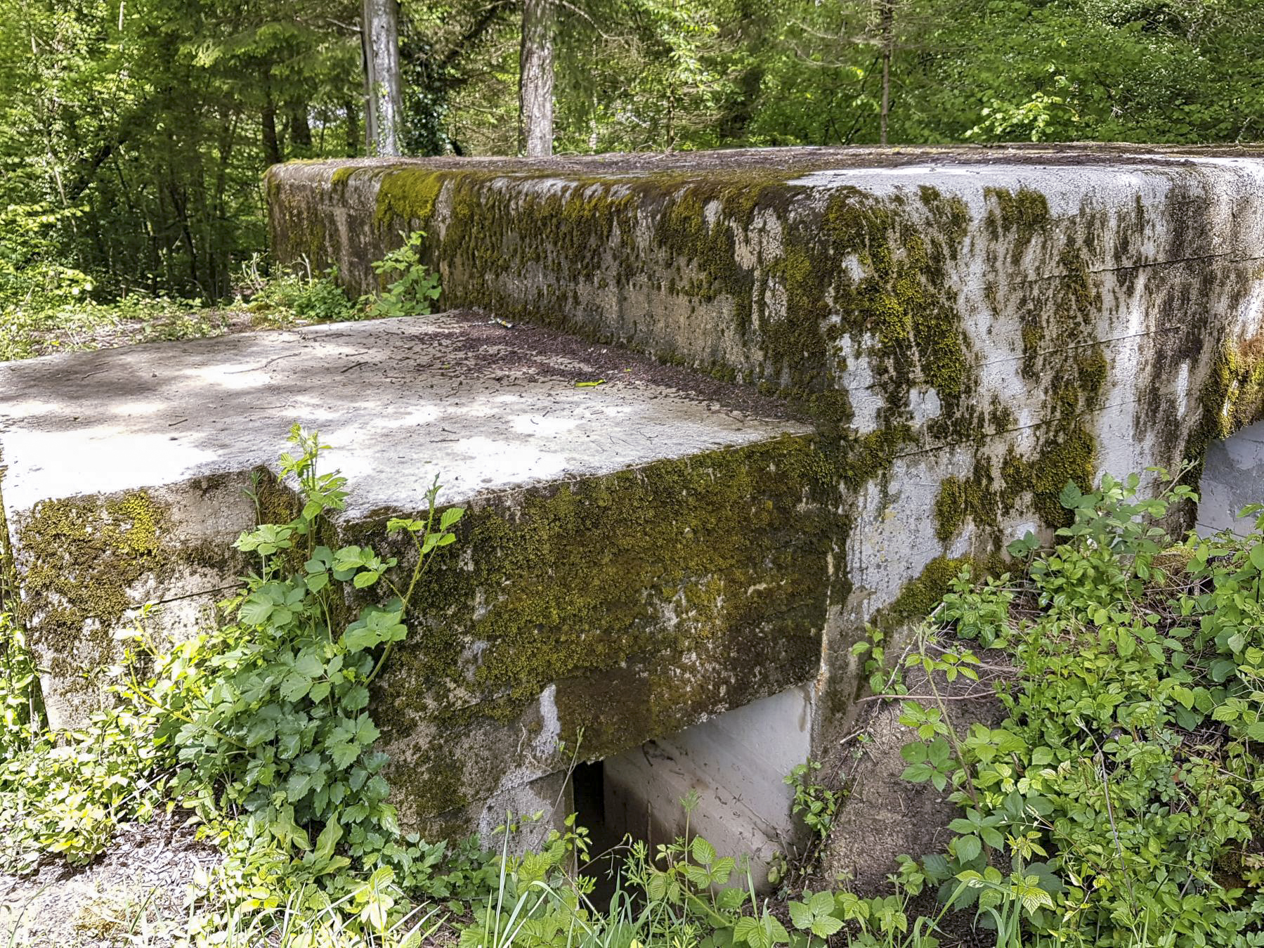 Ligne Maginot - F52 - PONT DE L'ALOUETTE EST - HS106 - (Blockhaus pour canon) - L'entrée - Dirknet