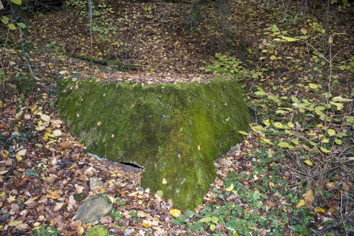 Ligne Maginot - LANGENHAEUSER 2 - (Blockhaus pour arme infanterie) - Créneaux - D.Froehly
