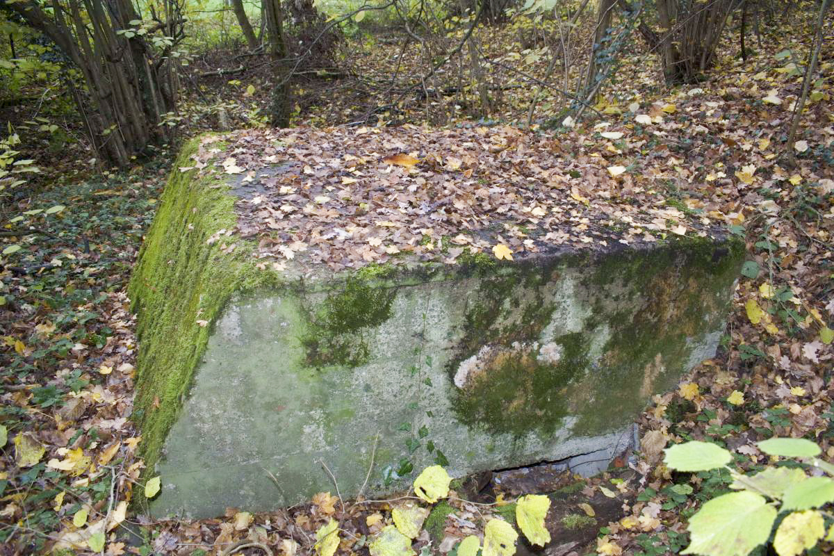 Ligne Maginot - LANGENHAEUSER 2 - (Blockhaus pour arme infanterie) - L'entrée coté colline - D.Froehly