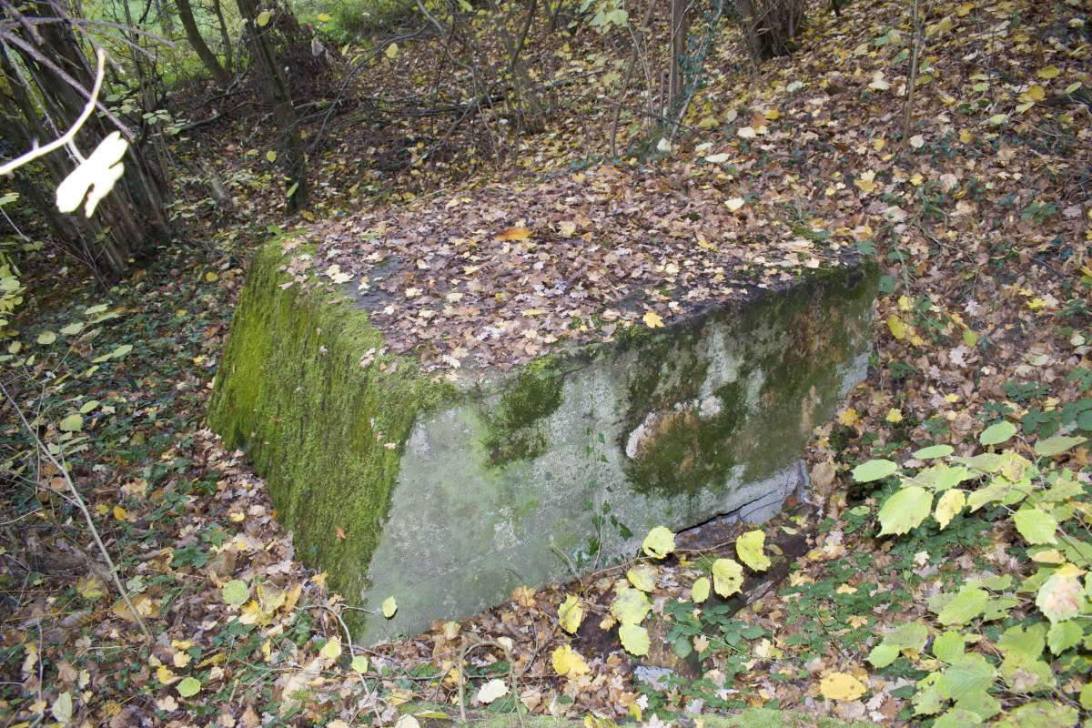 Ligne Maginot - LANGENHAEUSER 2 - (Blockhaus pour arme infanterie) - L'entrée coté colline et vue de dessus - D.Froehly