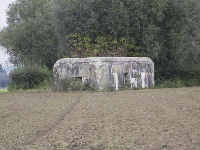Ligne Maginot - BEF 497 - FLAGONIER OUEST - (Blockhaus pour arme infanterie) - Situé dans un champ cultivé, il est visible de la D 127 - Rue d'Orchies. - Smardz Félix