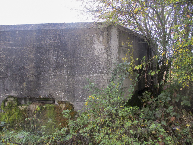 Ligne Maginot - BEF 502 - PONT d'OR Nord (Blockhaus pour arme infanterie) -  - Smardz Félix