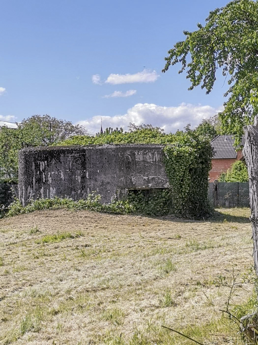 Ligne Maginot - ROSENAU CENTRE 2 - (Blockhaus pour arme infanterie) - Vue de la rue. - leiraph