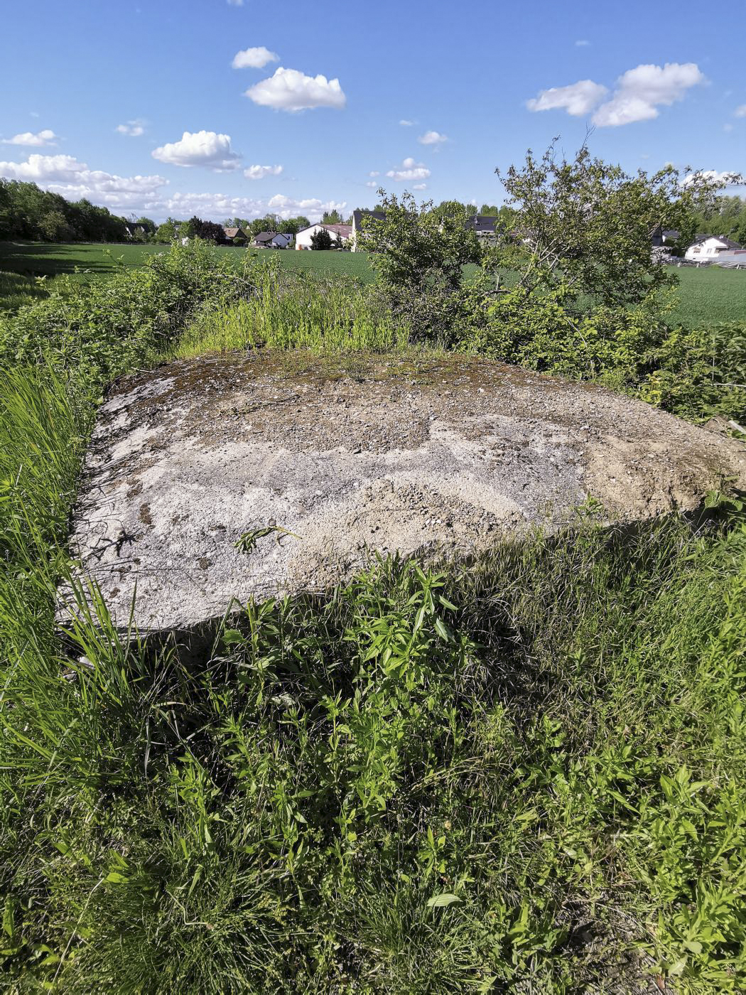 Ligne Maginot - BLEILACH 1 - (Blockhaus pour arme infanterie) - En grande partie enfoui, il y a vraisemblablement un grand créneau sous les ronces, à droite de l'image, mais pas d'entrée repérée. - leiraph