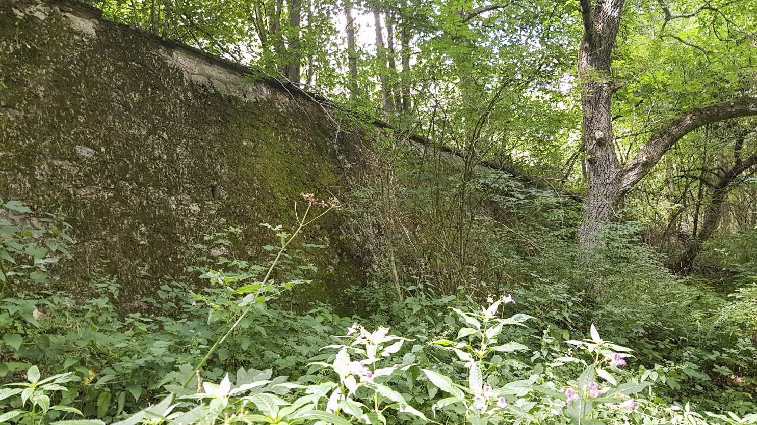 Ligne Maginot - VF60 - ANTENNE DE L'OUVRAGE DU SIMSERHOF - (RESEAU - Voie 60 - Antenne ou rocade ferroviaire) - Pont ferroviaire voie de 60 mur de soutènement - etienne