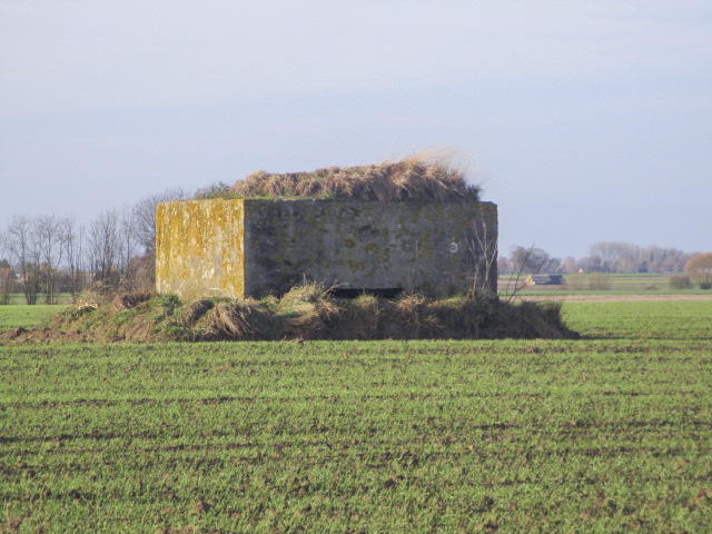 Ligne Maginot - BEF 604 - FOSSE HERSIN NORD - (Observatoire d'artillerie) -  - Smardz Félix