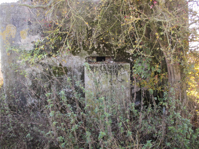 Ligne Maginot - BEF 602 - BELZANOIS OUEST 3 - (Blockhaus pour arme infanterie) -  - Smardz Félix