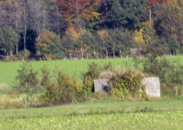 Ligne Maginot - BEF 624 - LA BOUGRIE - (Blockhaus pour arme infanterie) - Vu depuis le blockhaus des Trois Magots vers BEF 624 - La BOUGRIE - Smardz Félix