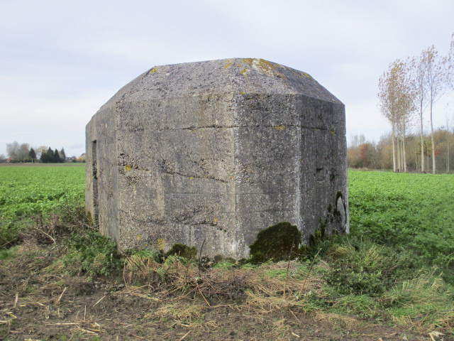 Ligne Maginot - BEF 677 - CENSE DE WABENPRE - (Blockhaus pour arme infanterie) - Blockhaus situé dans son environnement. - Smardz Félix