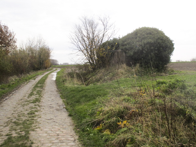 Ligne Maginot - BEF 676 - PONT CAILLOU SUD - (Blockhaus pour arme infanterie) - Blockhaus situé dans son environnement. - Smardz Félix