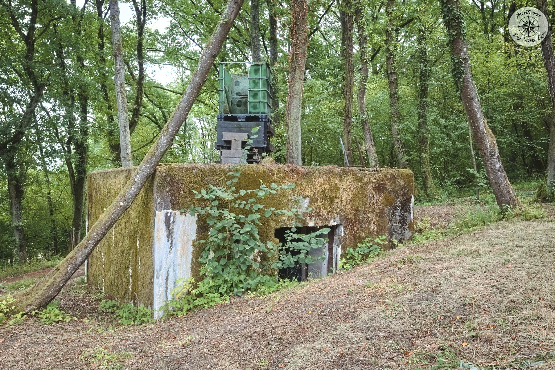 Ligne Maginot - CB274 - SAINTE MARIE 2 - (Blockhaus pour canon) -  - Thierry Caland