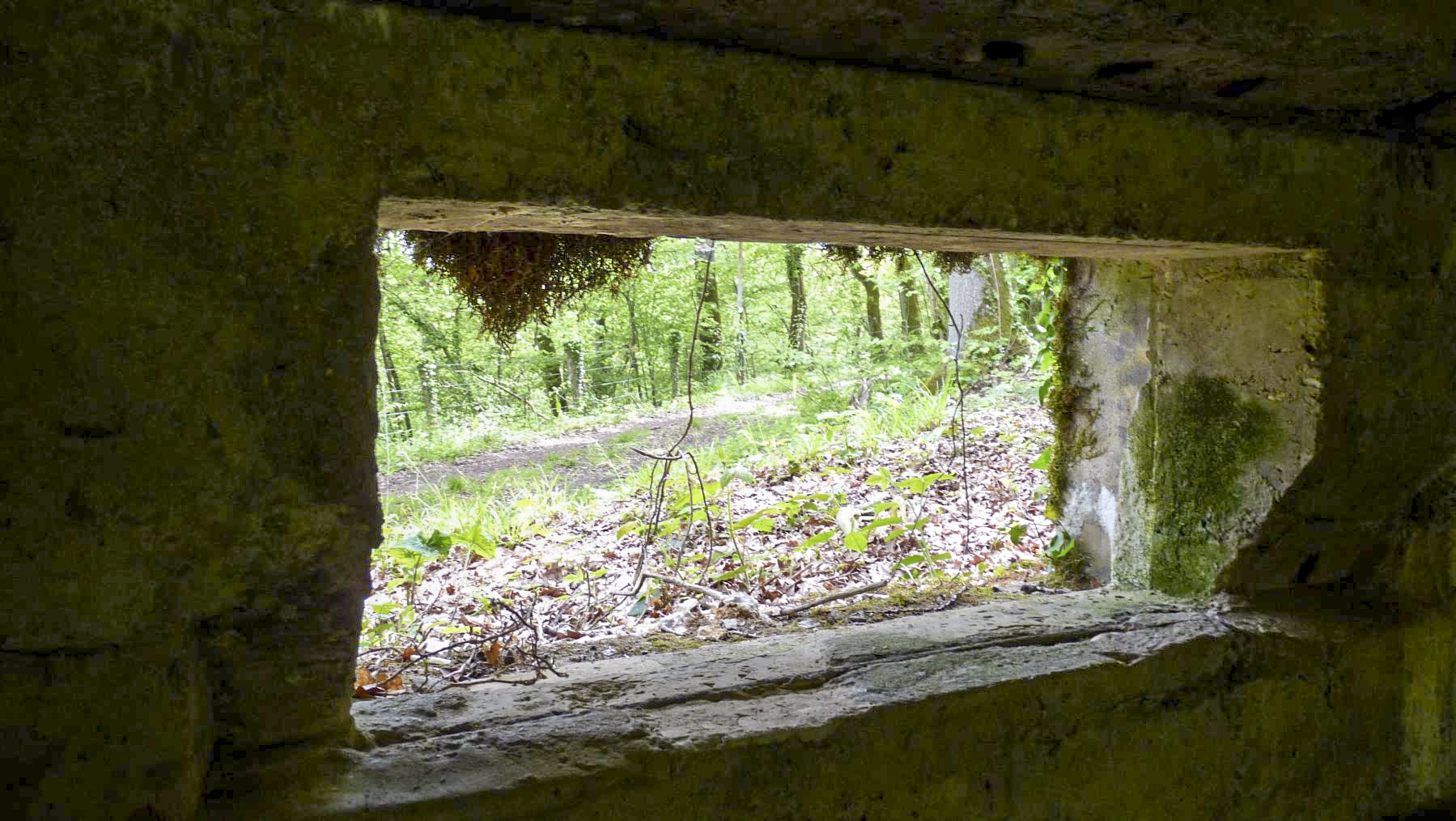 Ligne Maginot - CB274 - SAINTE MARIE 2 - (Blockhaus pour canon) -  - Sylvie Laure LAMBERT