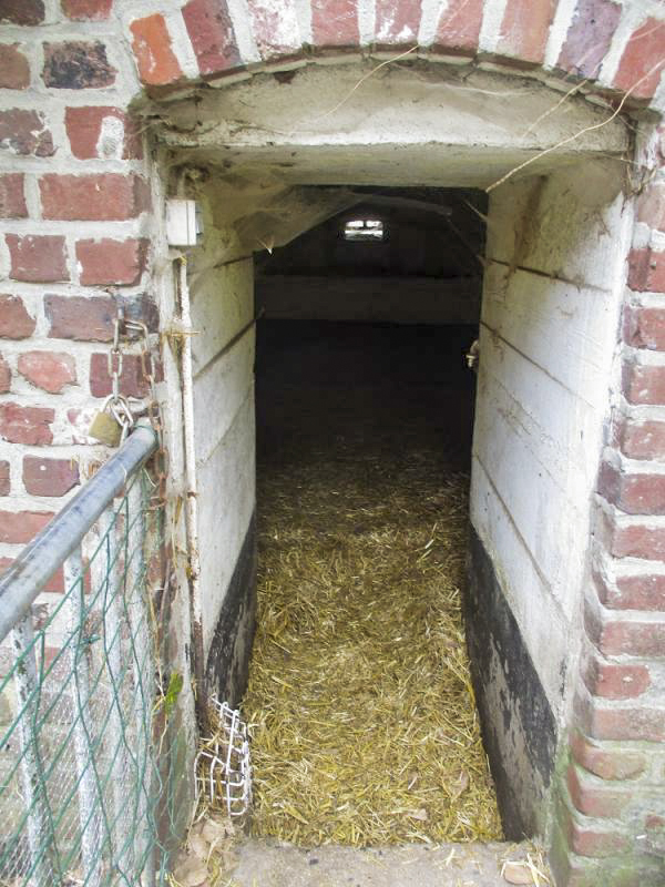 Ligne Maginot - BEF 692 - L'ESPIERRE Nord (Blockhaus pour arme infanterie) - Entrée du blockhaus. - Smardz Félix