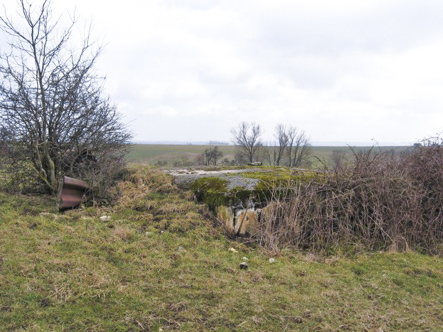 Ligne Maginot - ACHENER WEG 5 - (Abri) - Vue générale - Christian LENHARD