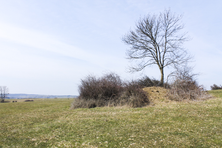 Ligne Maginot - ACHENER WEG 6 (Abri) - Vue générale - Christian LENHARD