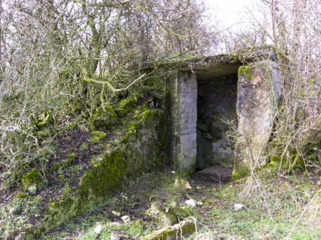Ligne Maginot - ACHENER WEG (QUARTIER SINGLING - I/166° RIF) - (PC de Quartier) - L'entrée - Christian LENHARD