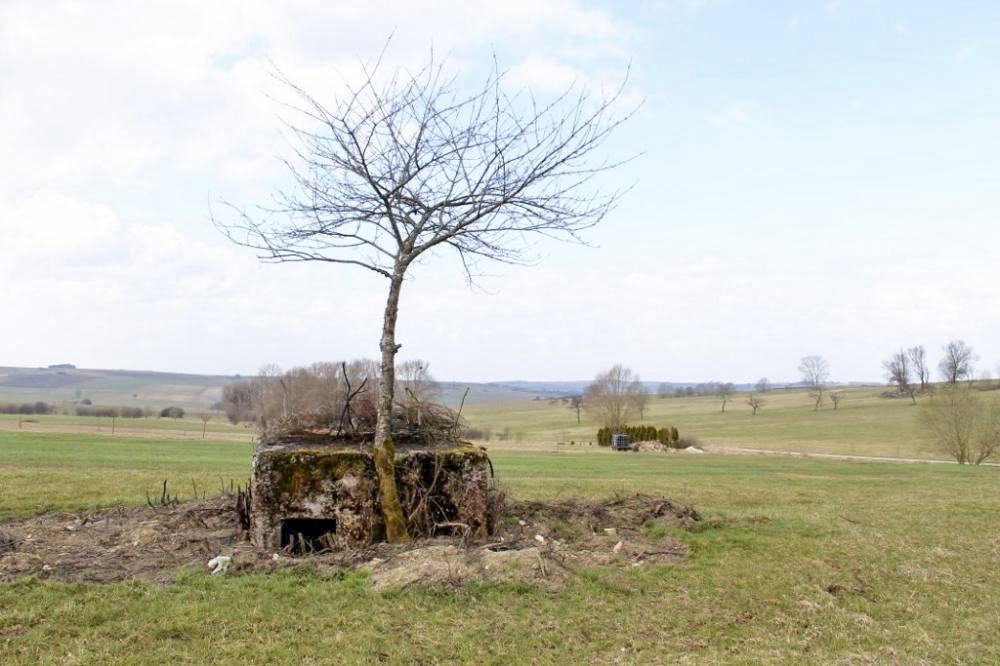 Ligne Maginot - ACHENER WEG 8 (Blockhaus pour arme infanterie) - Vue generale - Christian LENHARD