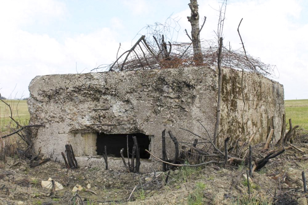 Ligne Maginot - ACHENER WEG 8 (Blockhaus pour arme infanterie) - Créneau de tir - Christian LENHARD