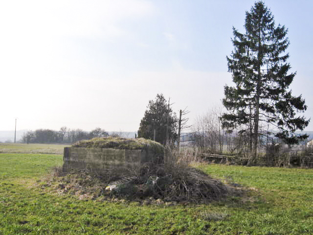Ligne Maginot - AUF GEBELS 2 - (Blockhaus pour arme infanterie) - Vue générale - Christian LENHARD